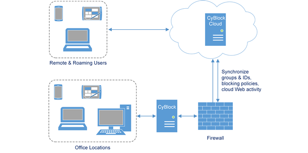 Hybrid Cloud Option