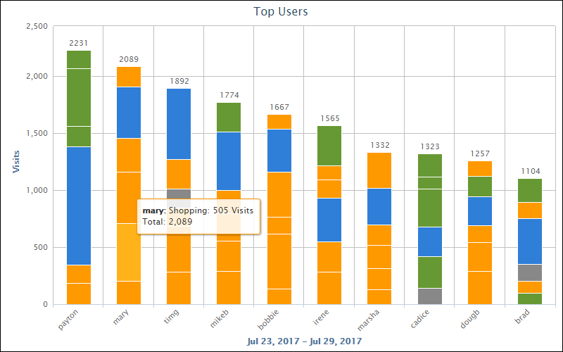 CyBlock Mini Appliance Top Chart User by Category Visits