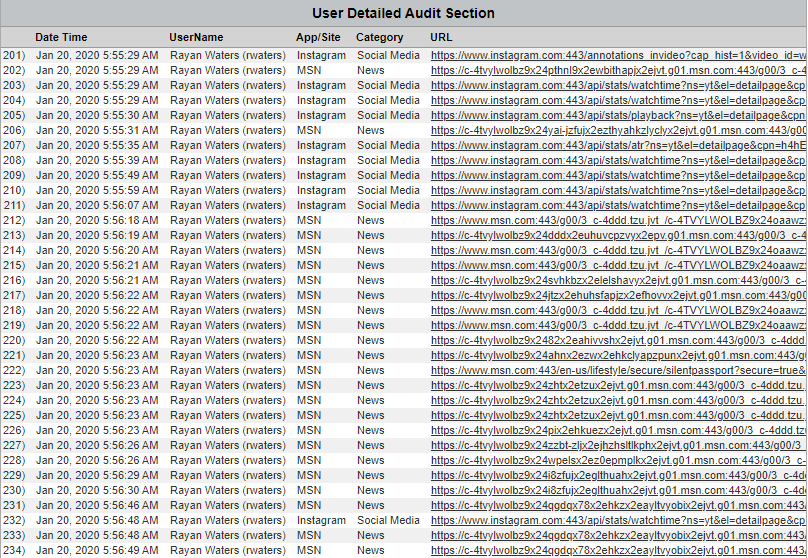 Cyfin - Ironport Table User Audit Detail