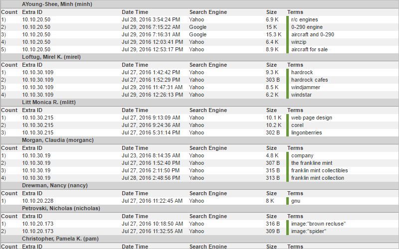 Search Terms Audit Report